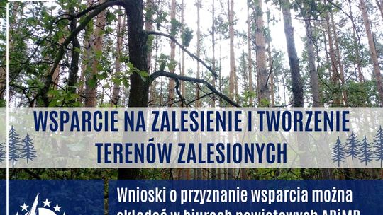 Weź pieniądze na posadzenie lasu