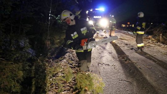 Wiał silny wiatr. 12 interwencji strażackich