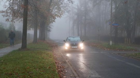 Wiatr będzie słaby, południowo-wschodni i wschodni.