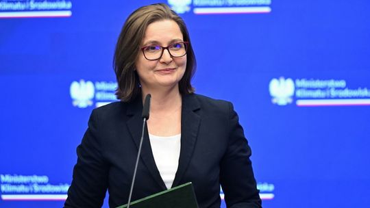 Wiceszefowa MKiŚ zleciła inwentaryzację nielegalnych wysypisk odpadów niebezpiecznych