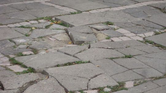 Wiosną zapachniało