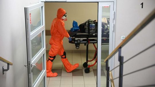 Wirus podobny do SARS-CoV-2 potencjalnie może zakażać ludzi