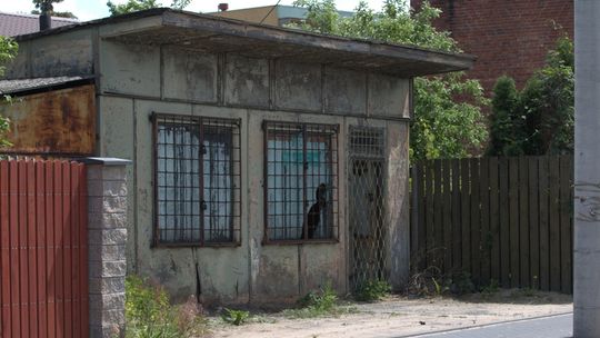 Właściwie nic nie mogą z tym zrobić