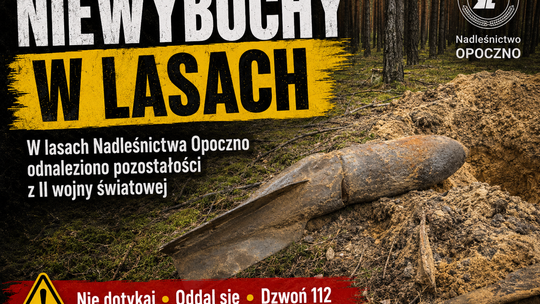 Wojna wciąż ukryta pod ściółką. Niewybuchy odnalezione w lasach Nadleśnictwa Opoczno
