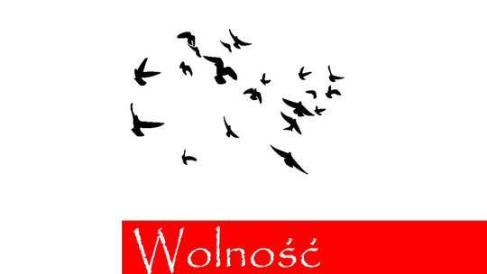 "Wolność" w PCAS 