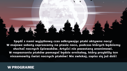 Wsłuchaj się w śpiew ptaków 