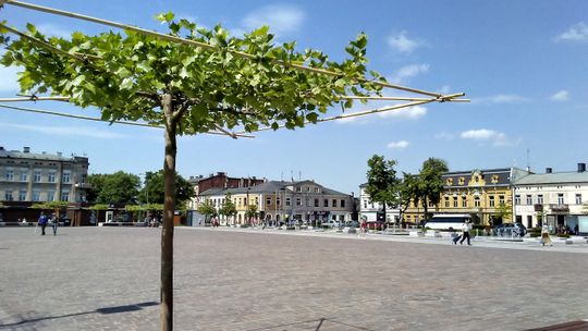 Wszystkiemu winna pandemia. Betonoza w rozkwicie 