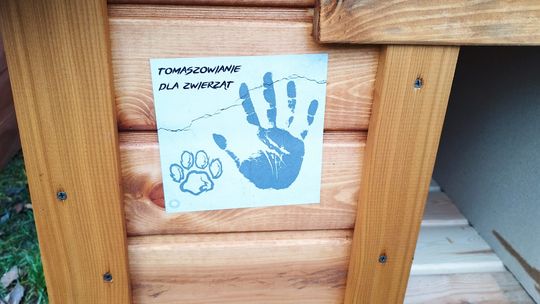 Wybieg, kojce i kości niezgody