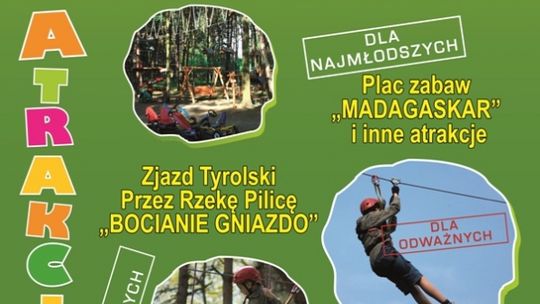 Wygraj karnety do Parku linowego nad Pilicą