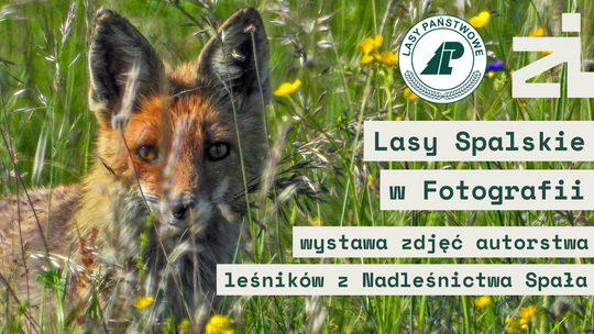 Wystawa edukacyjna w ZI – Lasy Spalskie w Fotografii