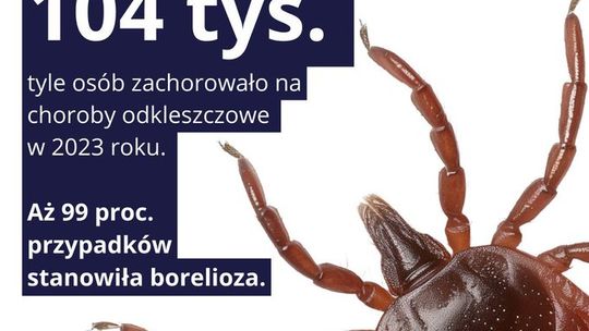 Wzmaga się aktywność kleszczy
