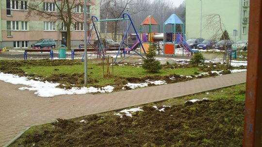 Z cyklu: "Okrakiem" - Dziki chlew w Nowym Glinniku