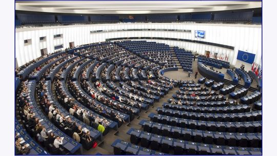 Z „emdeku” do Parlamentu Europejskiego