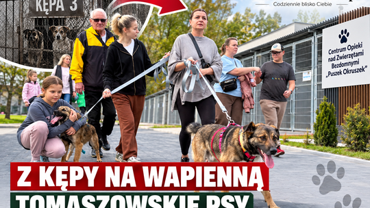 Z Kępy na Wapienną. Tomaszowskie psy przeprowadziły się do „Puszka Okruszka”