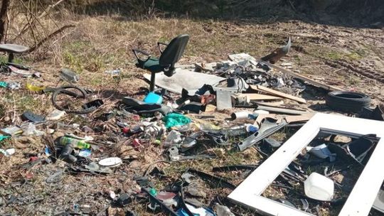Zagubione skarby czekają na roztargnionego właściciela 