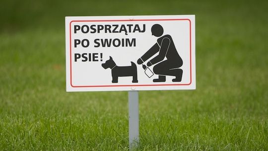 Zamiast zakazać - zacznijcie zachęcać