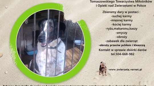 Zanim spadną liście o zwierzętach pomyślcie