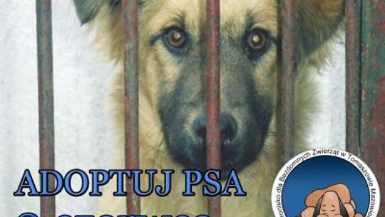 Zaopiekuj się mną