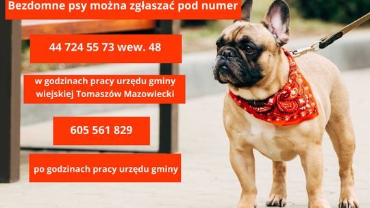 Zapiszcie sobie te numery!