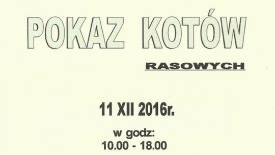 Zapraszamy na kolejny pokaz kotów rasowych