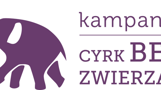 Zaprotestują przed cyrkiem