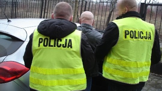 Zarabiali na prostytucji - sutenerzy za kratami