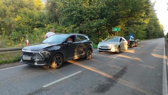 Zatrzymali poszukiwanego europejskim nakazem aresztowania