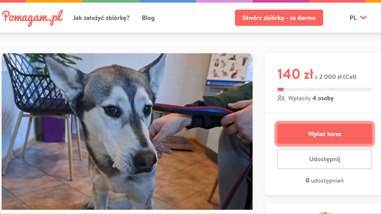 Zbierają pieniądze i boją się pytań. Czy Malinowe Nosy działają legalnie?