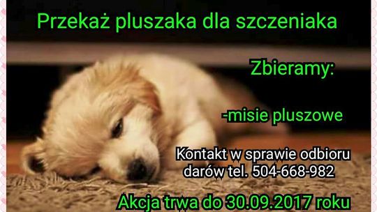 Zbiórka darów