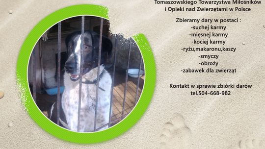 Zbiórka darów dla zwierząt pod opieką TTMiOnZ