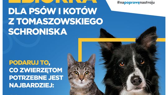 Zbiórka z okazji Dnia Zwierząt w Galerii Tomaszów