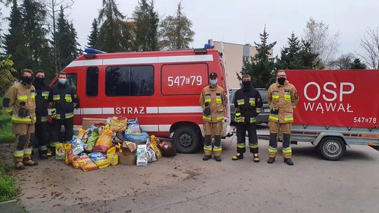 Zbiórka zorganizowana przez strażaków z Wąwału zakończyła się sukcesem 