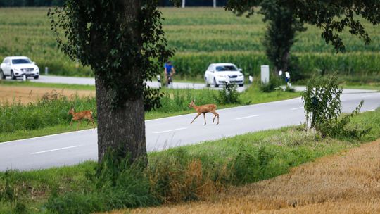 Zderzenie może skończyć się tragicznie