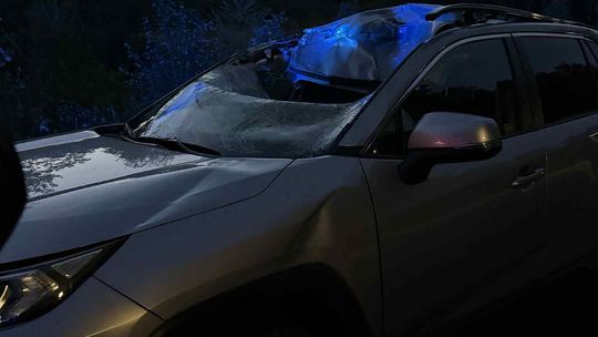 Zderzenie samochodu z jeleniem w Nagórzycach