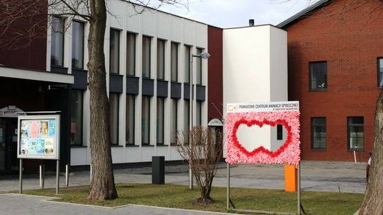 Ździebełko ciepełka w PCAS