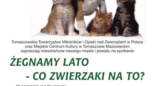ŻEGNAMY LATO-CO ZWIERZAKI NA TO