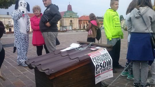 Zerwaliśmy łańcuchy w Tomaszowie Maz