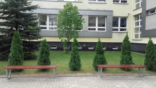 Zielone zmiany przed szkołą
