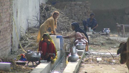 Zielony Punjab