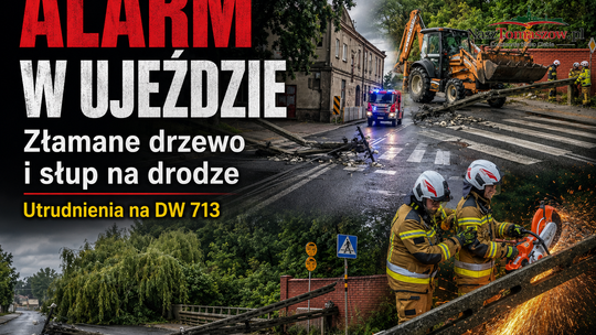 Złamane drzewo i słup energetyczny zablokowały drogę wojewódzką nr 713 w Ujeździe
