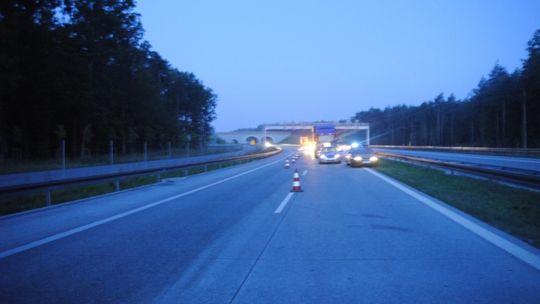 Zmarł potrącony przez ciężarówkę - Policja ustala tożsamość denata