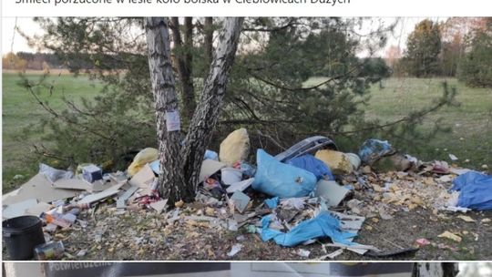 Znowu śmieci porzucone w lesie