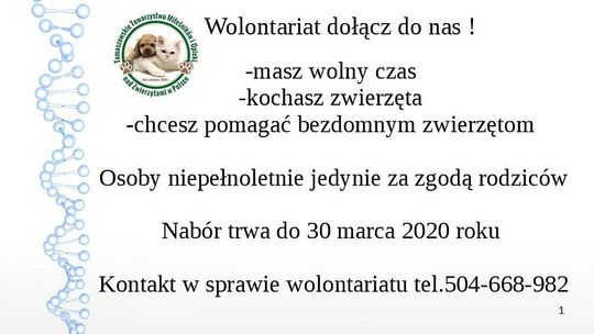 Zostań wolontariuszem