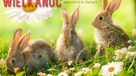 Życzenia Wielkanocne od poseł Elżbiety Radziszewskiej