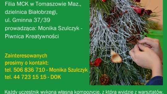 Żywe choinki w DOK-u