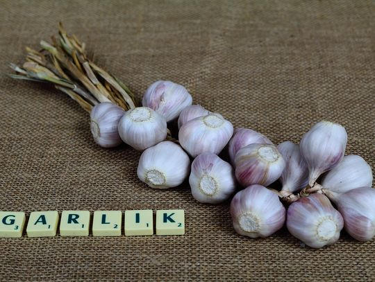 10 wskazówek od native speakera, jak nauczyć się angielskiego