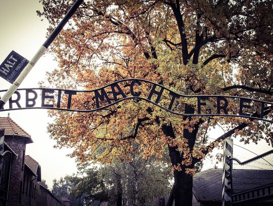 84 lata temu Niemcy przywieźli pierwszych Polaków do Auschwitz