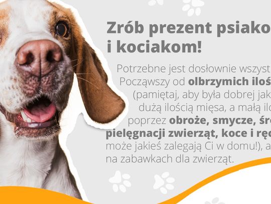 Akcja #ZoodoptujMobilizuje dotarła do Tomaszowa Mazowieckiego!