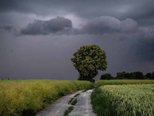 Alert RCB i ostrzeżenia IMGW I i II stopnia dla całego kraju przed burzami i silnym wiatrem
