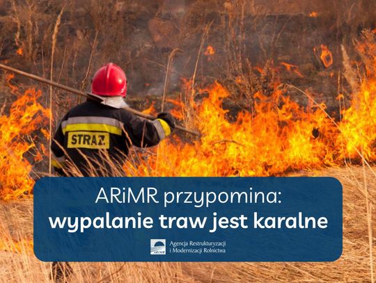 ARiMR przypomina: wypalanie traw jest karalne